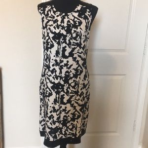 Dorothy Perkins women dress